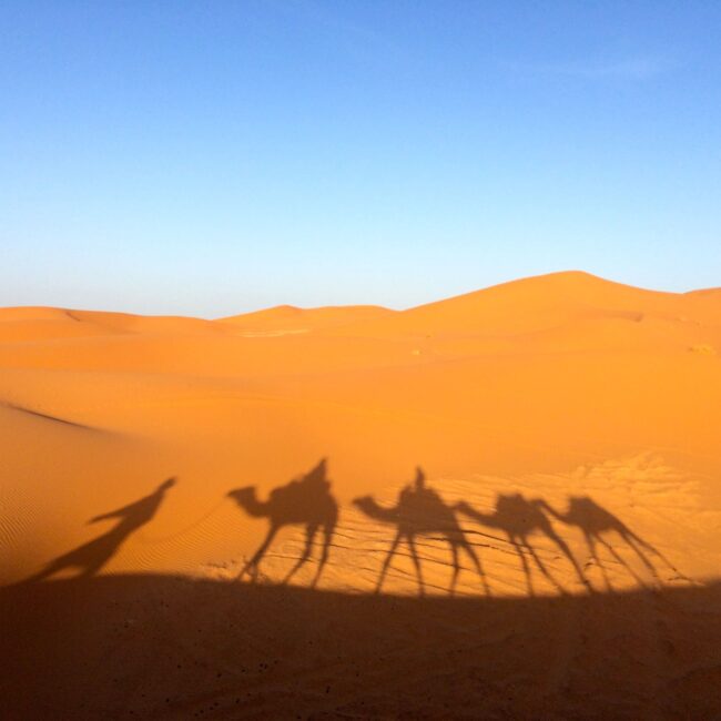 landscape-nature-sand-desert-travel-dry-711613-pxhere.com (1)