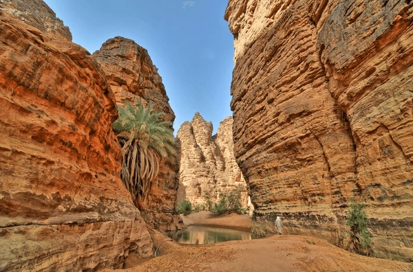 sahara algerie