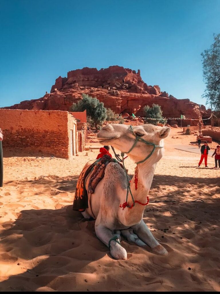 Timimoun tourisme