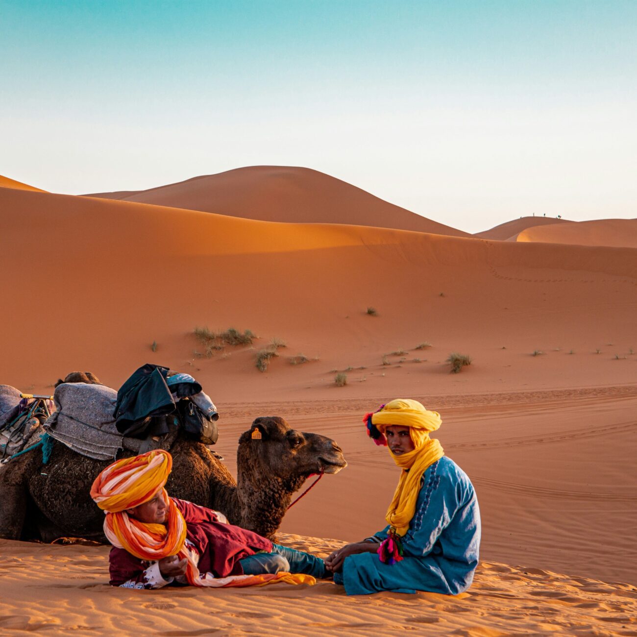 reveillon sahara