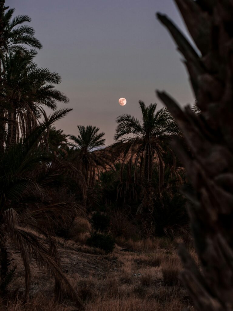 biskra Algérie