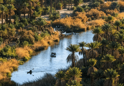 Djanet & Ihrir: Hidden Oases and the Tassili Wonders