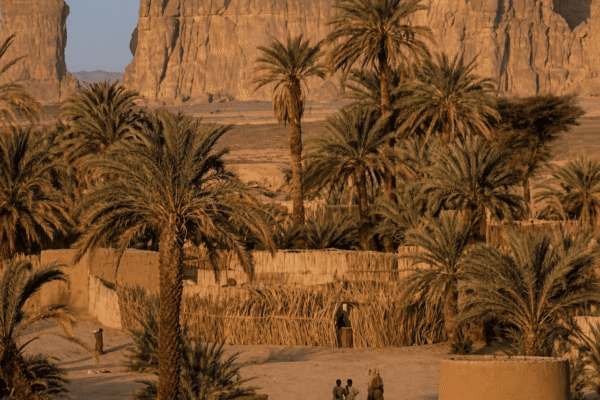 Timimoun: The Red Oasis of the Sahara