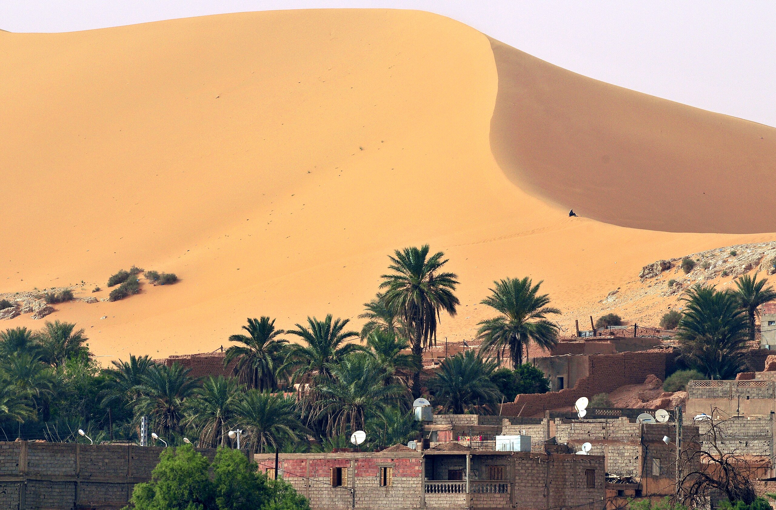 Palmeraie de Béni Abbès – oasis luxuriante au cœur du Sahara