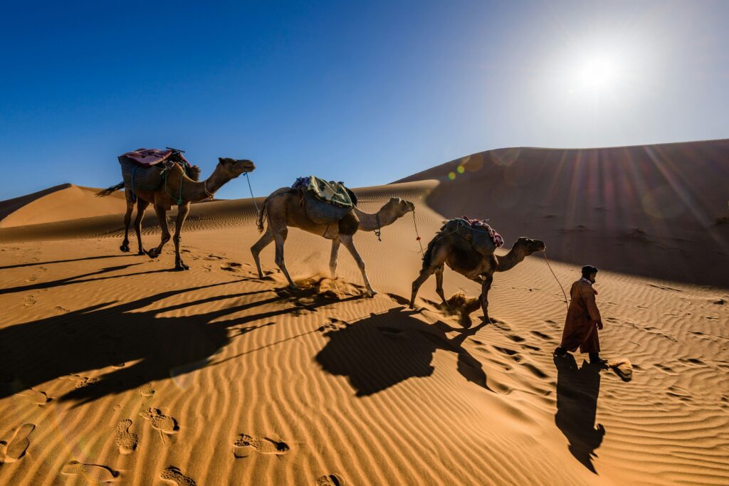Tuareg guides – Algerian Sahara desert experience