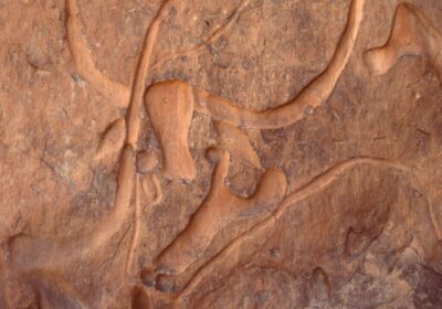 Djanet Algérie — à la découverte de la perle du Sahara