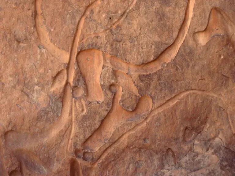 Discover Djanet – The Pearl of the Algerian Sahara