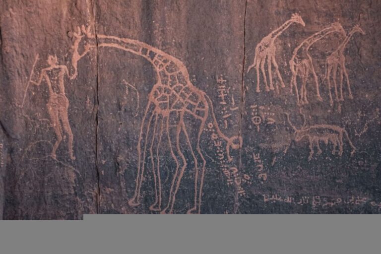 Héritage touareg en Algérie — art rupestre et traditions vivantes à Djanet