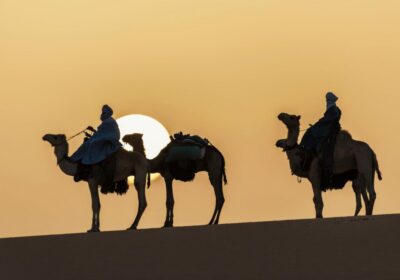 Festival Timimoun et festivités des oasis — la fête au cœur du Sahara algérien