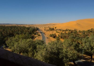 Désert algérien tourisme — Grand Sud vs Oasis, quel voyage choisir ?