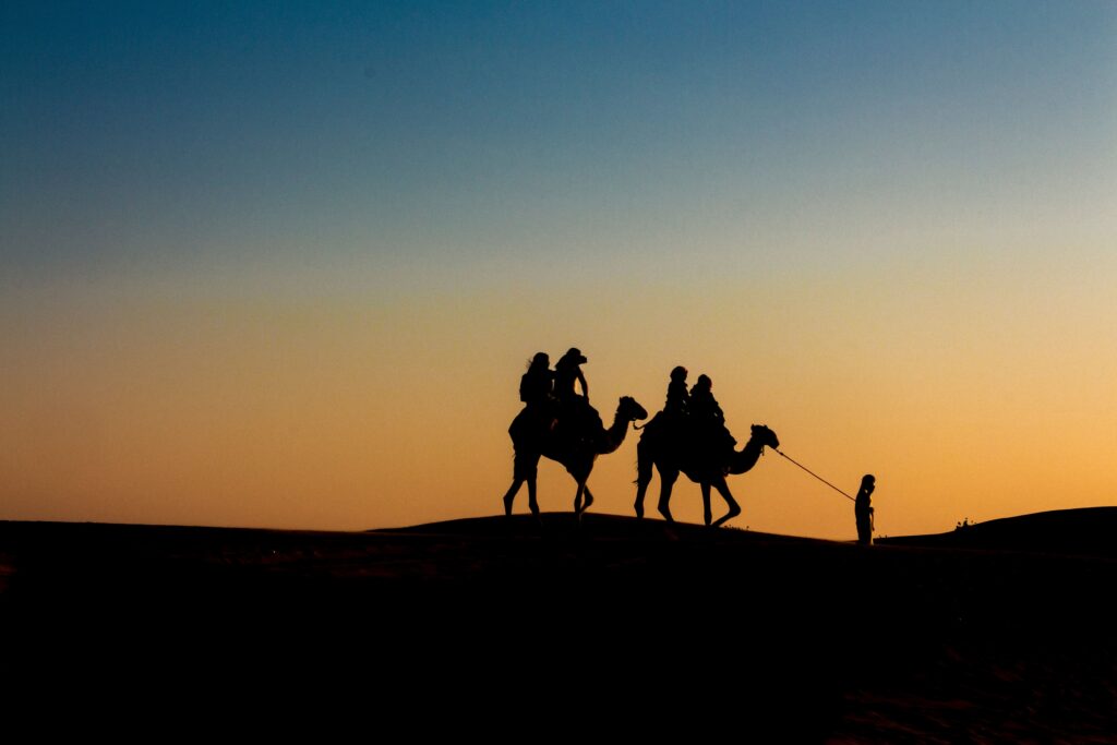 Voyage dans le Sahara Algérien – dunes et désert à perte de vue