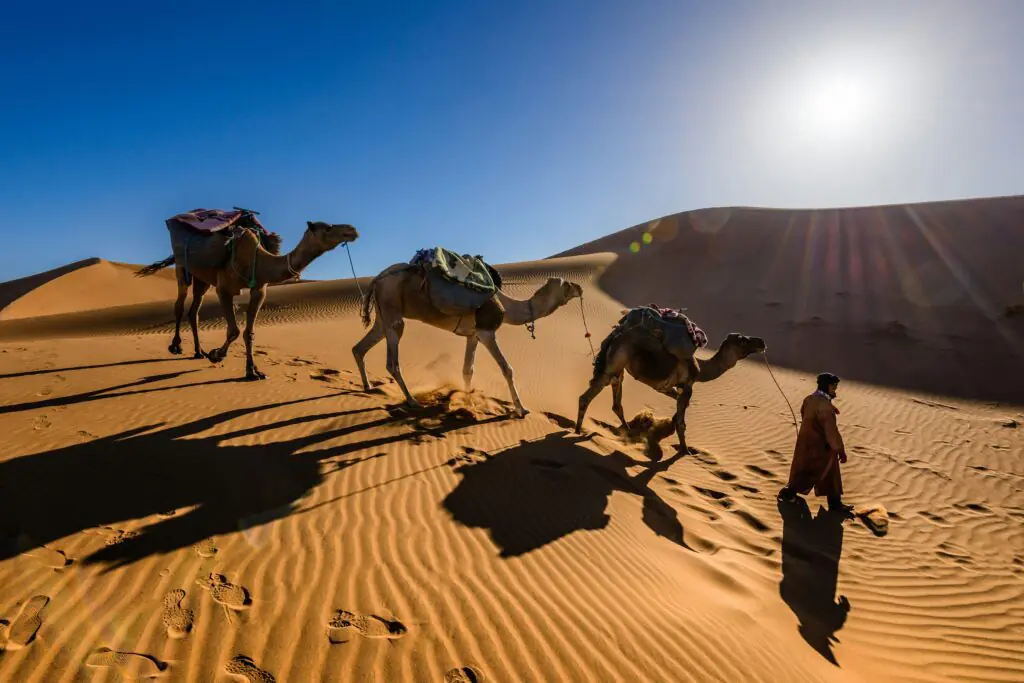 Bivouac under the stars – Tuareg culture, Algerian Sahara