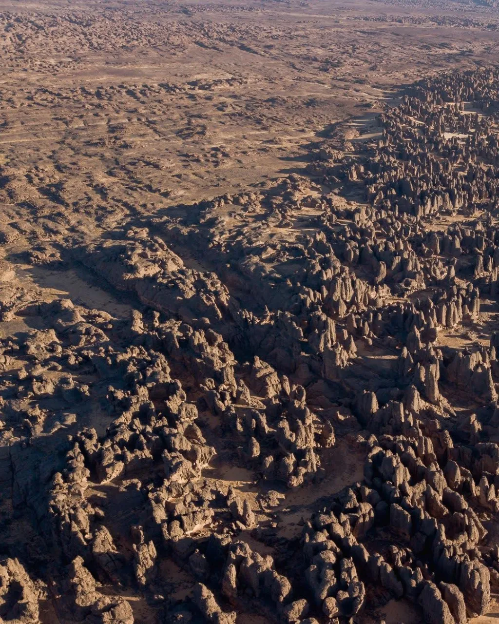 Sefar – labyrinthe de rochers, couloirs rocheux du Tassili n'Ajjer