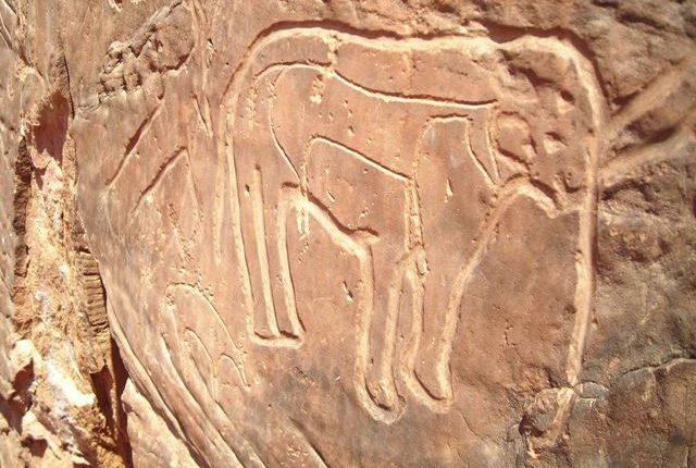 Gravures rupestres de Taghit – art néolithique, vallée de la Saoura