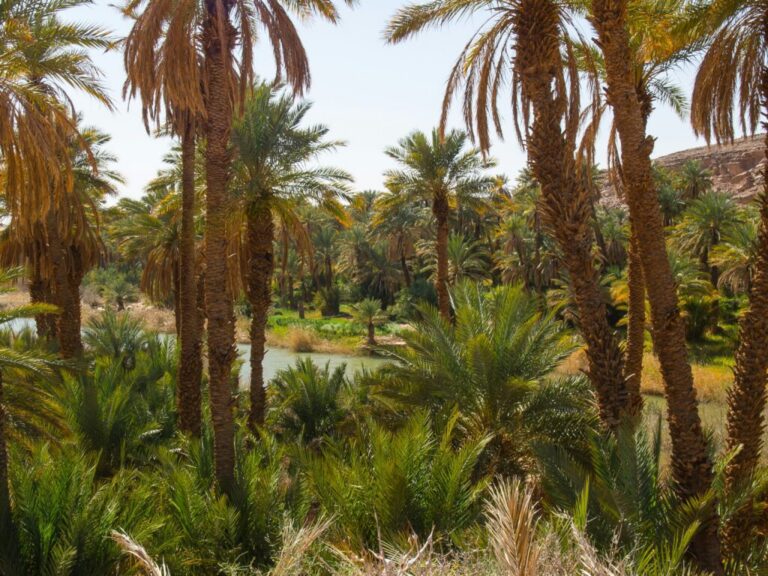 Les plus belles oasis d'Algérie — Taghit, Béni Abbès et Timimoun