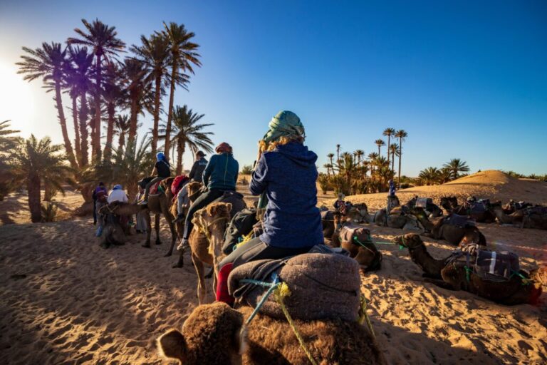 Les merveilles du Tassili N'Ajjer — un patrimoine unique au cœur du Sahara