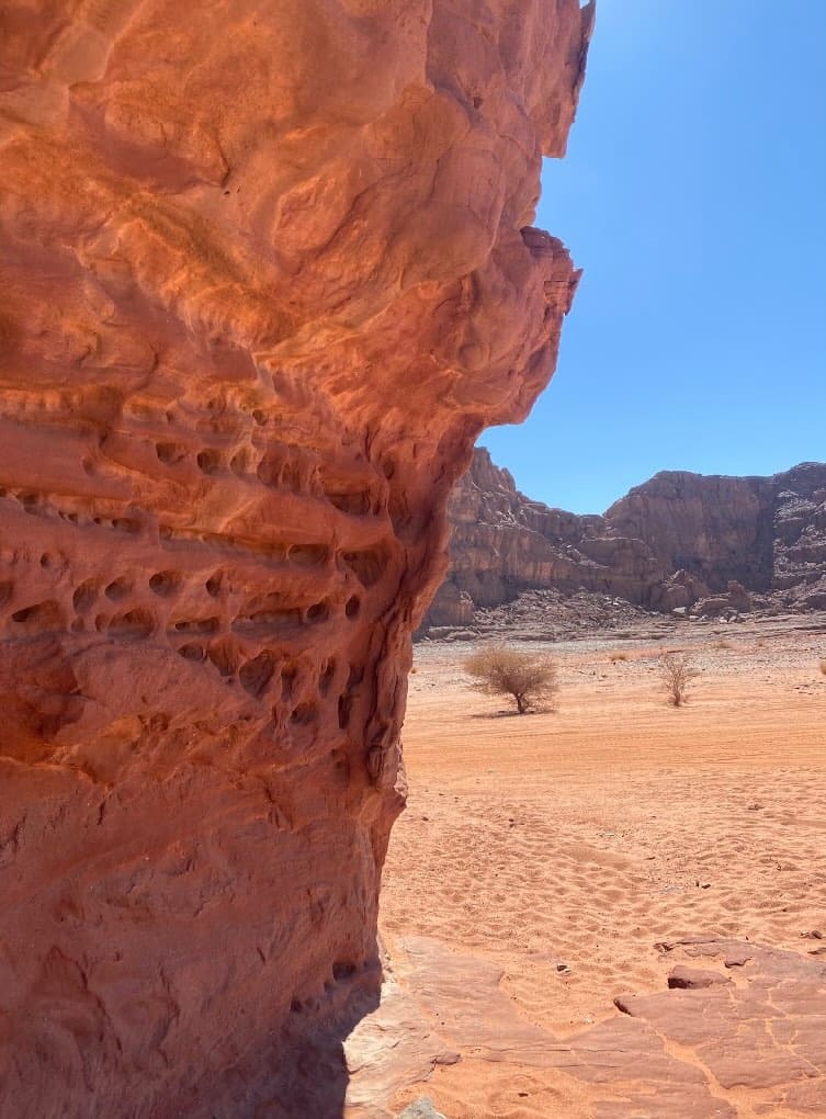 Tassili n'Ajjer – vue panoramique sur le plateau saharien, Algérie