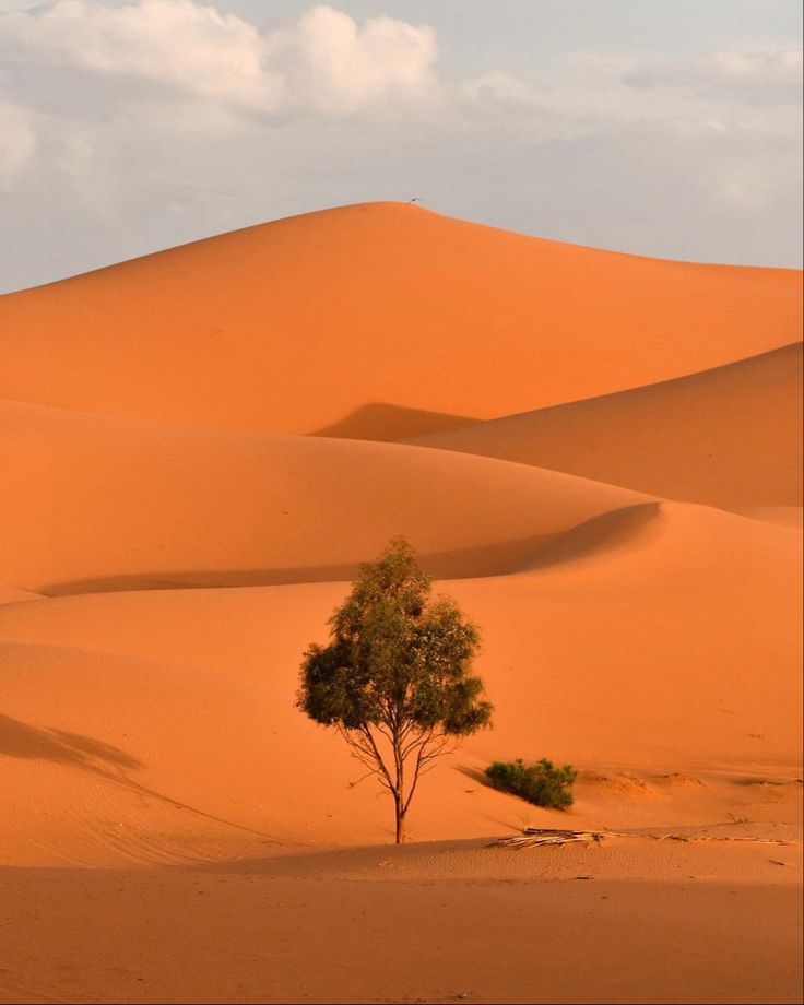 Désert marocain ou désert algérien : lequel choisir et pourquoi ?