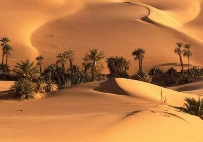 D&eacute;sert tunisien ou d&eacute;sert alg&eacute;rien : lequel choisir et pourquoi ?