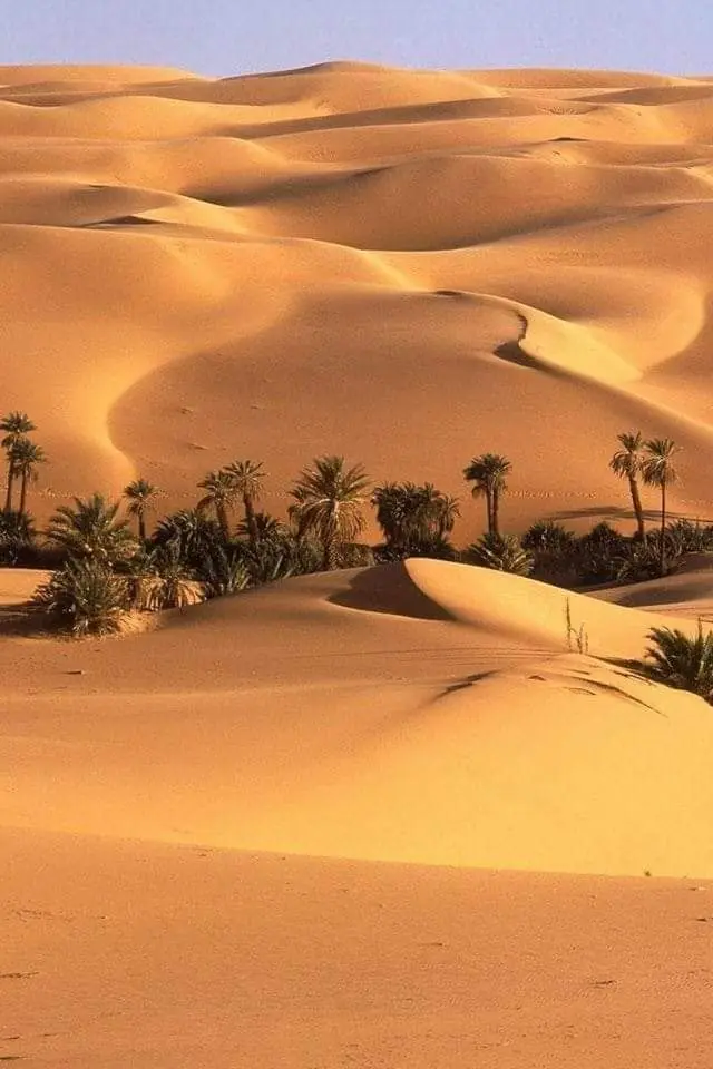 Tunisian Desert or Algerian Desert: Which to Choose and Why?