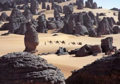 D&eacute;sert marocain ou d&eacute;sert alg&eacute;rien : lequel choisir et pourquoi ?