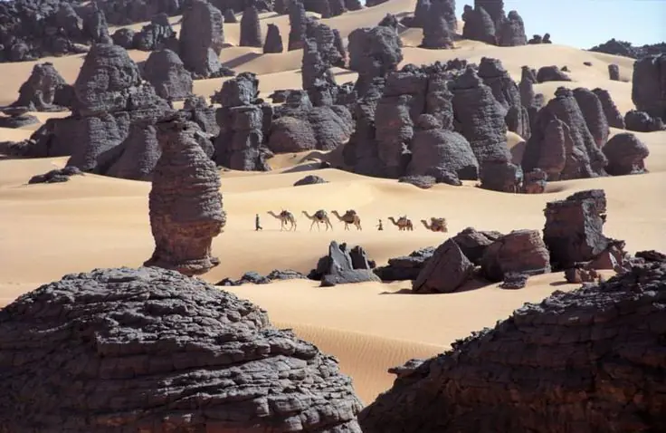 Moroccan Desert or Algerian Desert: Which to Choose and Why?