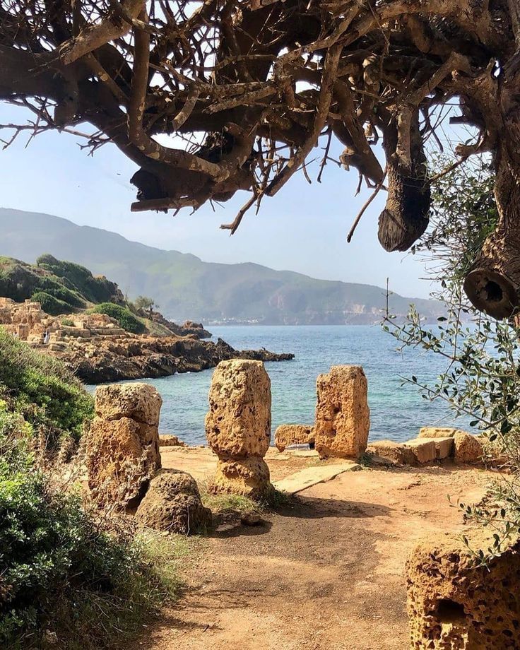 Ruines de Tipaza - patrimoine UNESCO à 70 km d'Alger