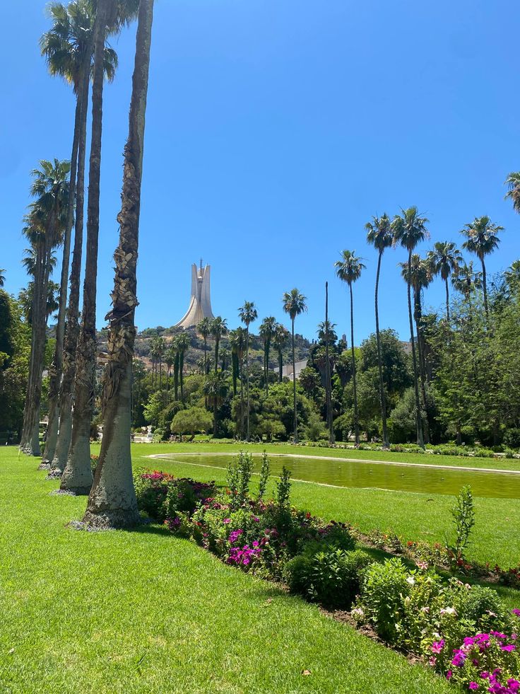 Le Jardin d'Essai du Hamma à Alger - allées de ficus et palmiers