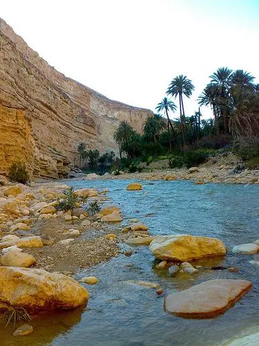 Paisajes del desierto argelino