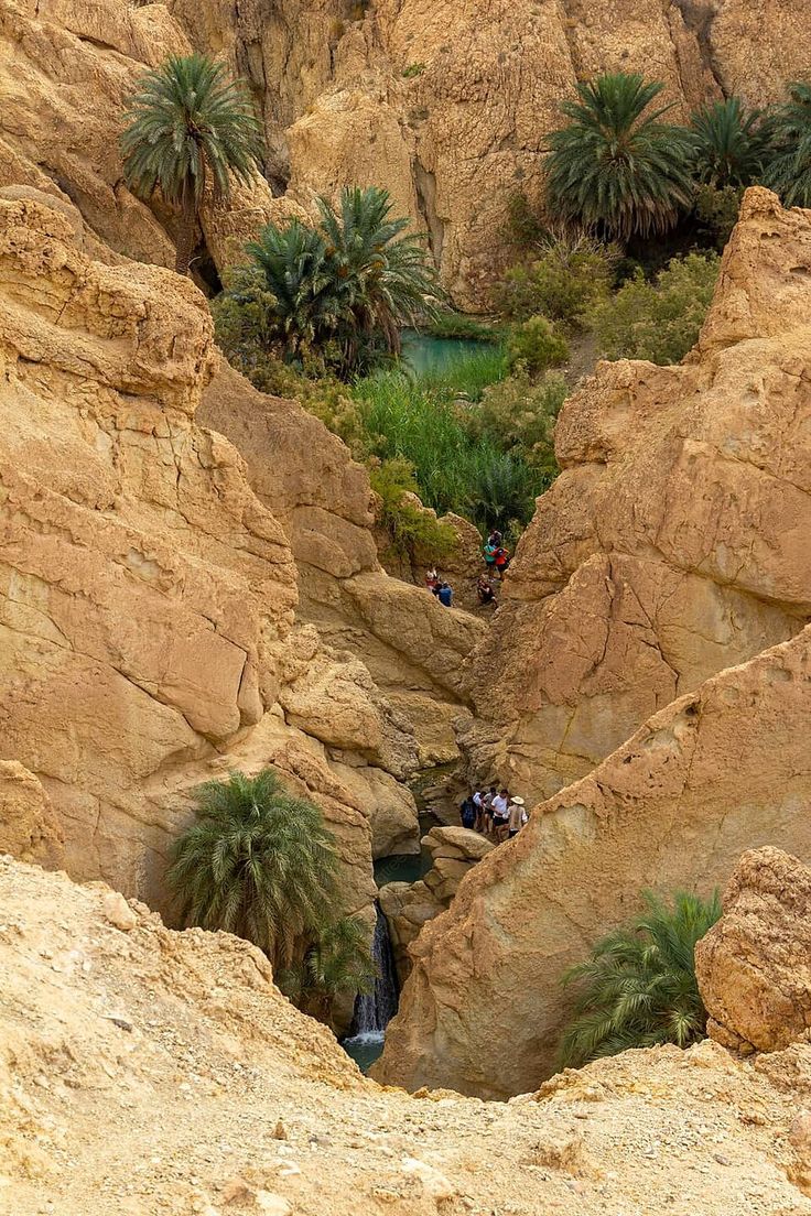 Chott el Jerid et oasis du sud tunisien
