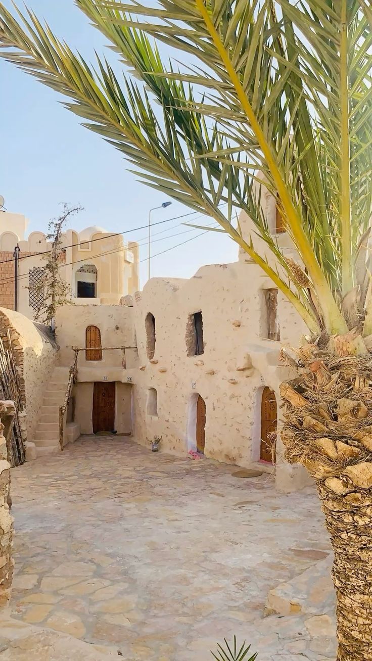 Culture touarègue et art rupestre Algérie