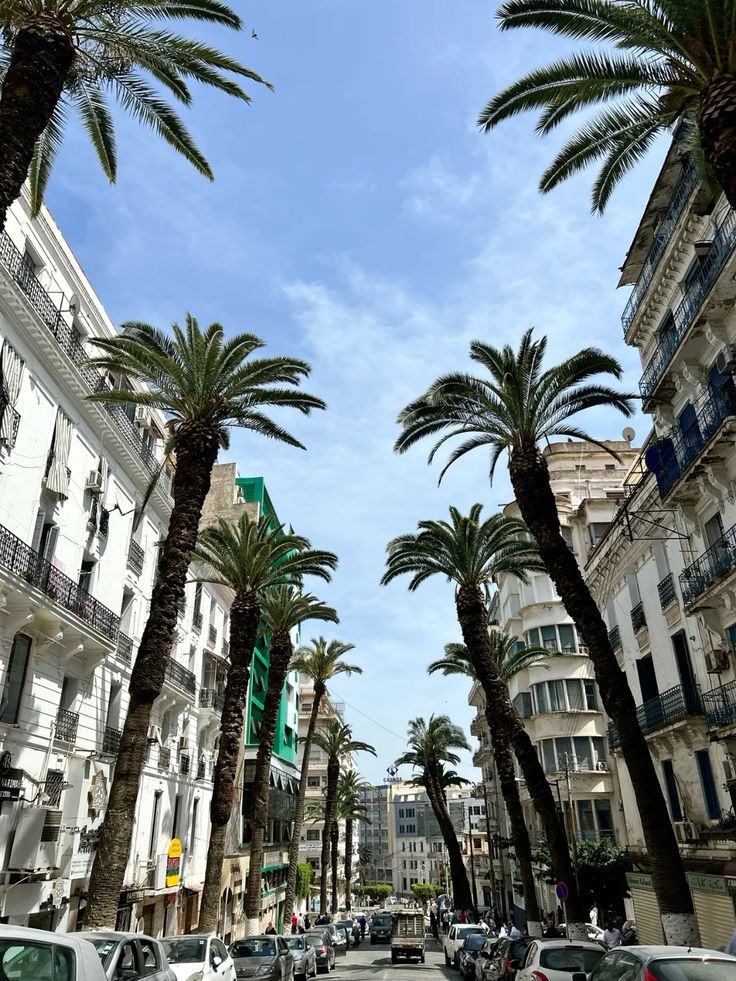 Quartiers à flâner à Alger - Hydra et Sidi Yahia