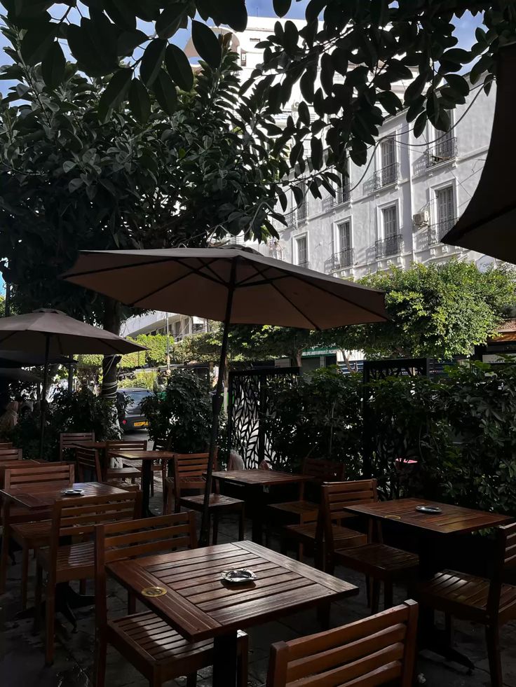 Musées d'Alger - activités culturelles par temps de pluie