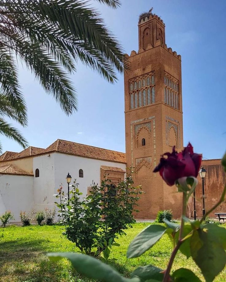 FAQ - Tlemcen, Algérie - questions fréquentes