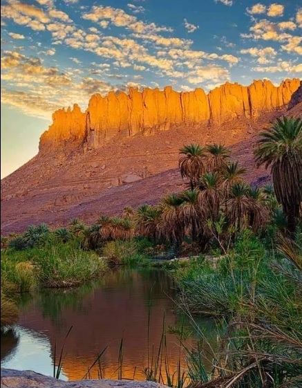 Huttes traditionnelles de l'oasis d'Iherir