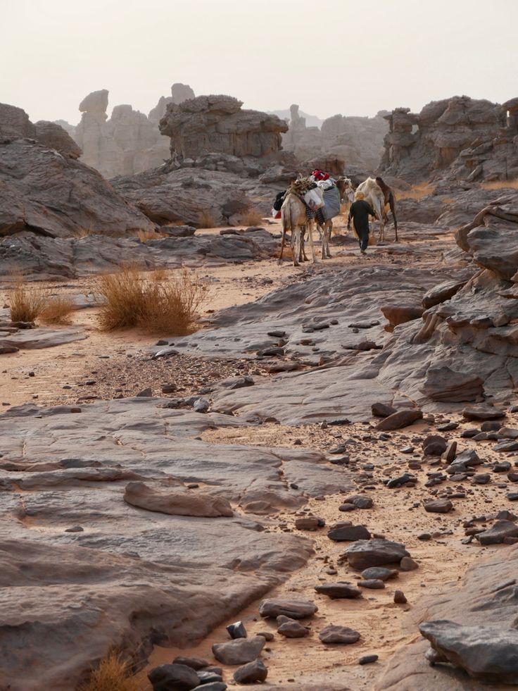 Climat et saisons en Algérie selon les régions