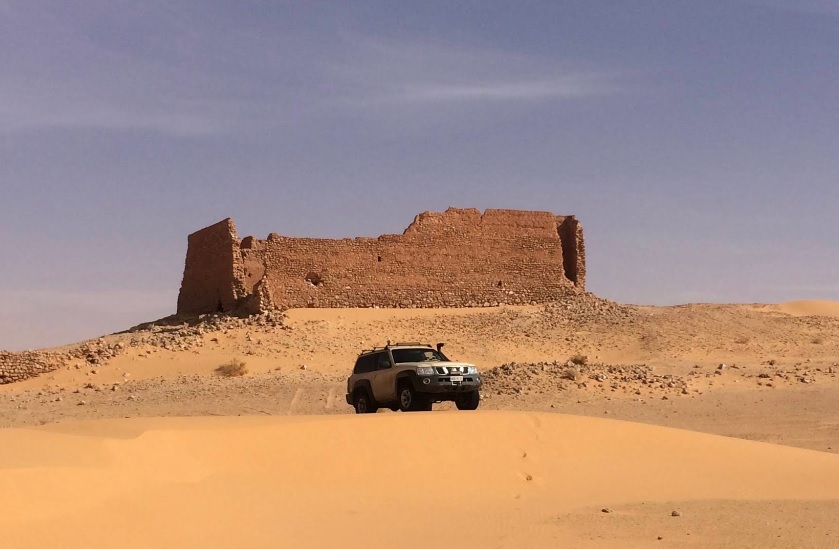 El ksar Faoun integrado en el palmeral de Timimoun