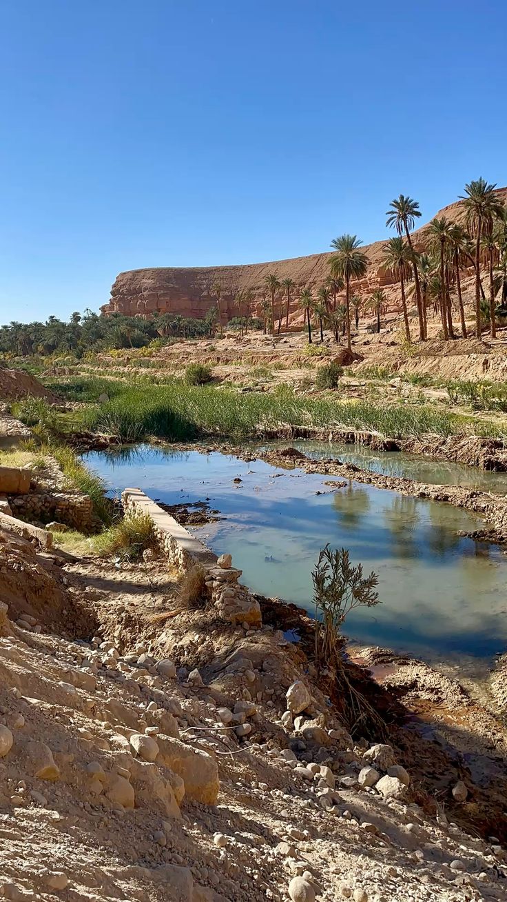 Dunes et oasis du Sahara nord algérien en hiver