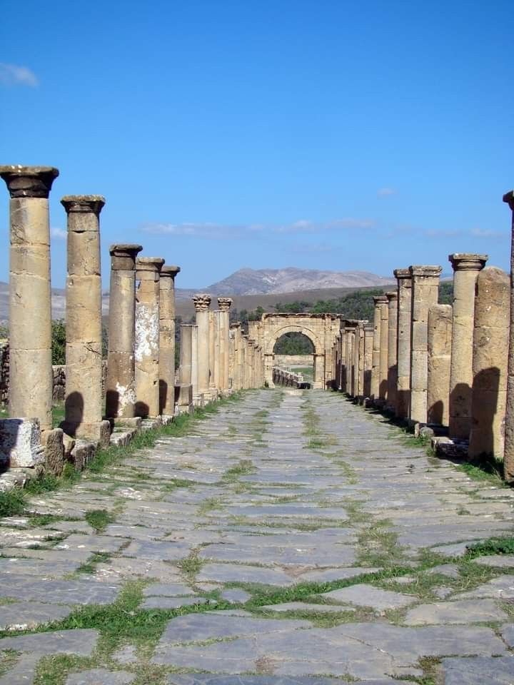Cardo maximus di Timgad - solchi lasciati dai carri