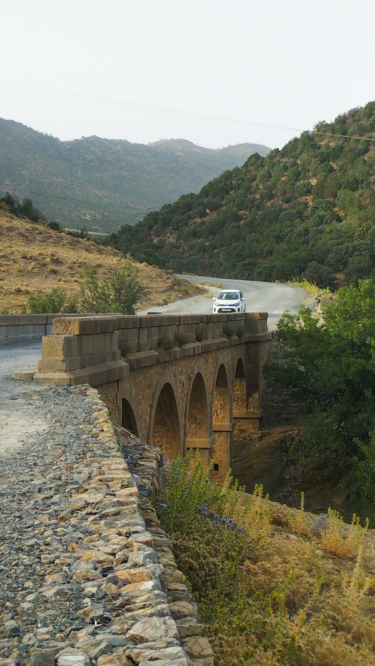 Les hauts plateaux algériens - Sétif, Djelfa, Tiaret, Batna