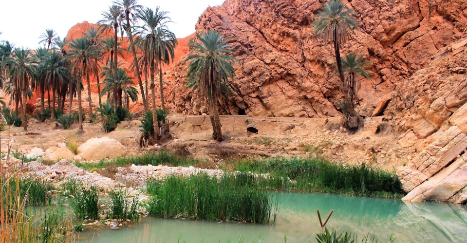 La sebkha de Timimoun, antiguo lago seco de superficie blanca