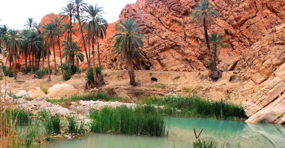 The sebkha of Timimoun, a dried-up lake with a white surface