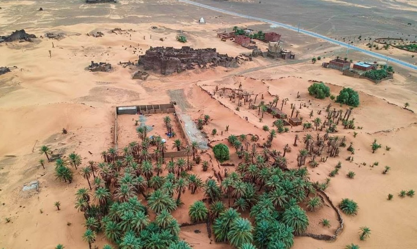 Palmeral y datileras del Gourara frente al Gran Erg Occidental