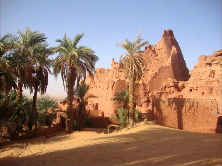 Los palmerales de Timimoun irrigados por las foggaras