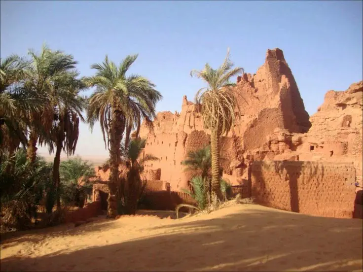 The palm groves of Timimoun irrigated by the foggaras