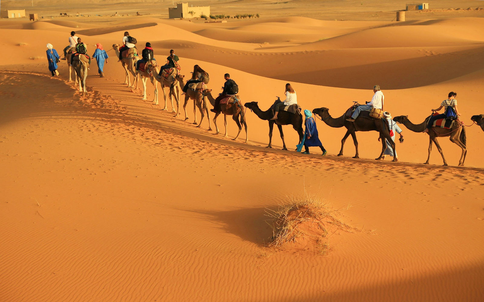 Excursión en camello (méharée) por las dunas del Gran Erg Occidental